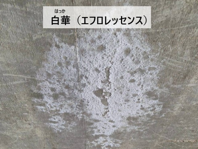 白華　エフロレッセンス